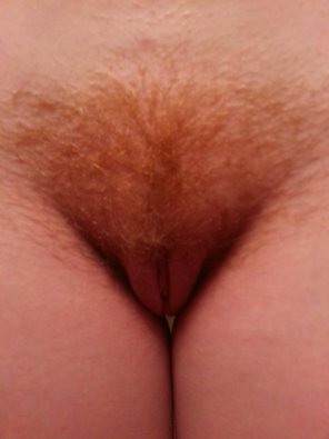 Internet_20250130_064055_19