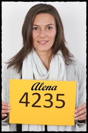 4235 Alena (1)