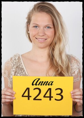 4243 Anna (1)