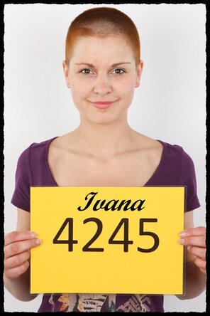 4245 Ivana (1)