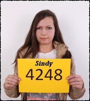 4248 Sindy (1)