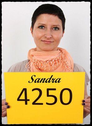 4250 Sandra (1)