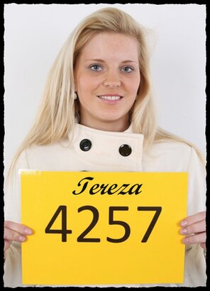 4257 Tereza (1)