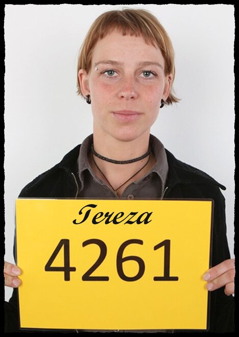4261 Tereza (1)