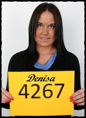 4267 Denisa (1)