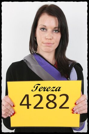 4282 Tereza (1)
