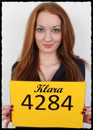 4284 Klara (1)