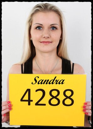 4288 Sandra (1)