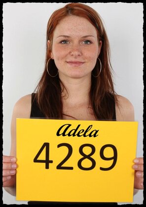 4289 Adela (1)