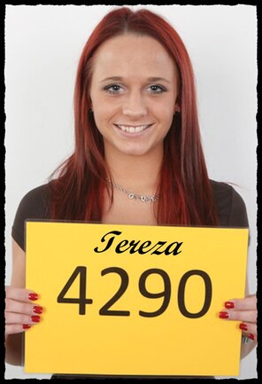 4290 Tereza (1)