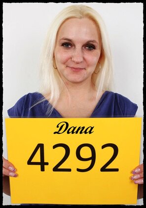 4292 Dana (1)