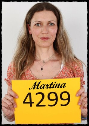 4299 Martina (1)