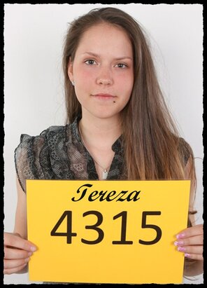 4315 Tereza (1)