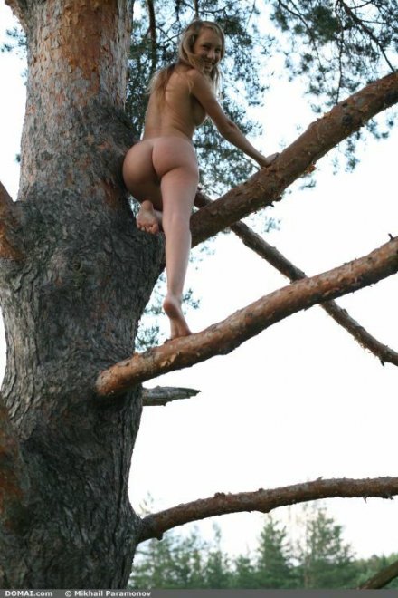 Tree-hugger caught climbing naked