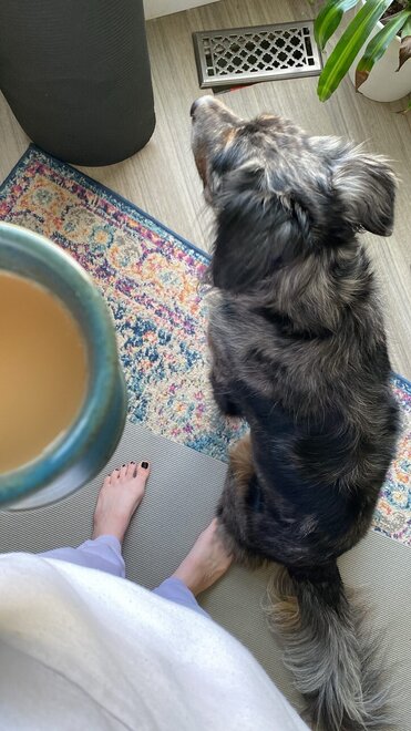 1125x2000_f30c3fbb6b66145e6cb35eae23d69687