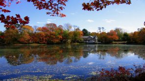 photo amateur Beautiful House