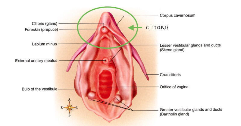 amateur photo IMG_3065 2