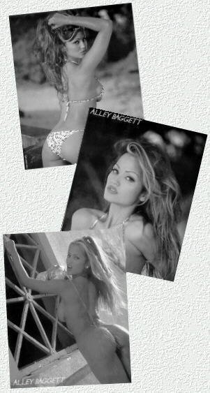 amateur photo ALLEY39