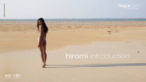 hiromi-introduction-board