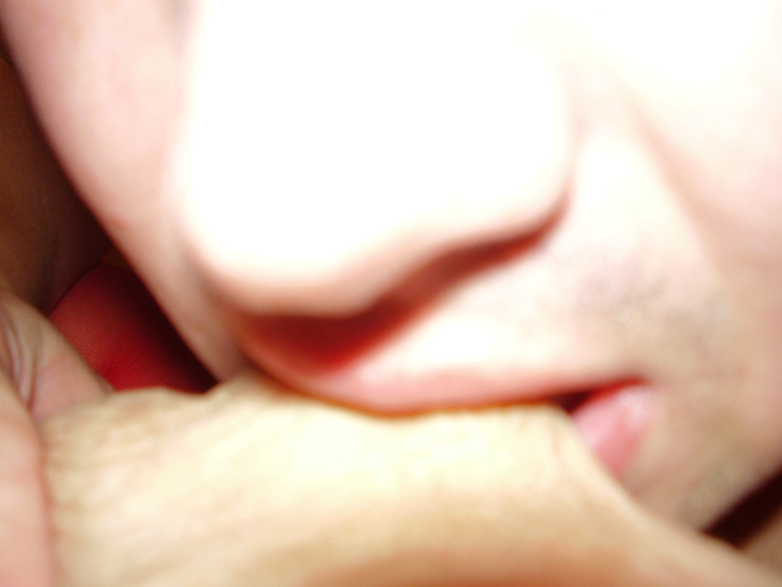 amateur photo 0001749