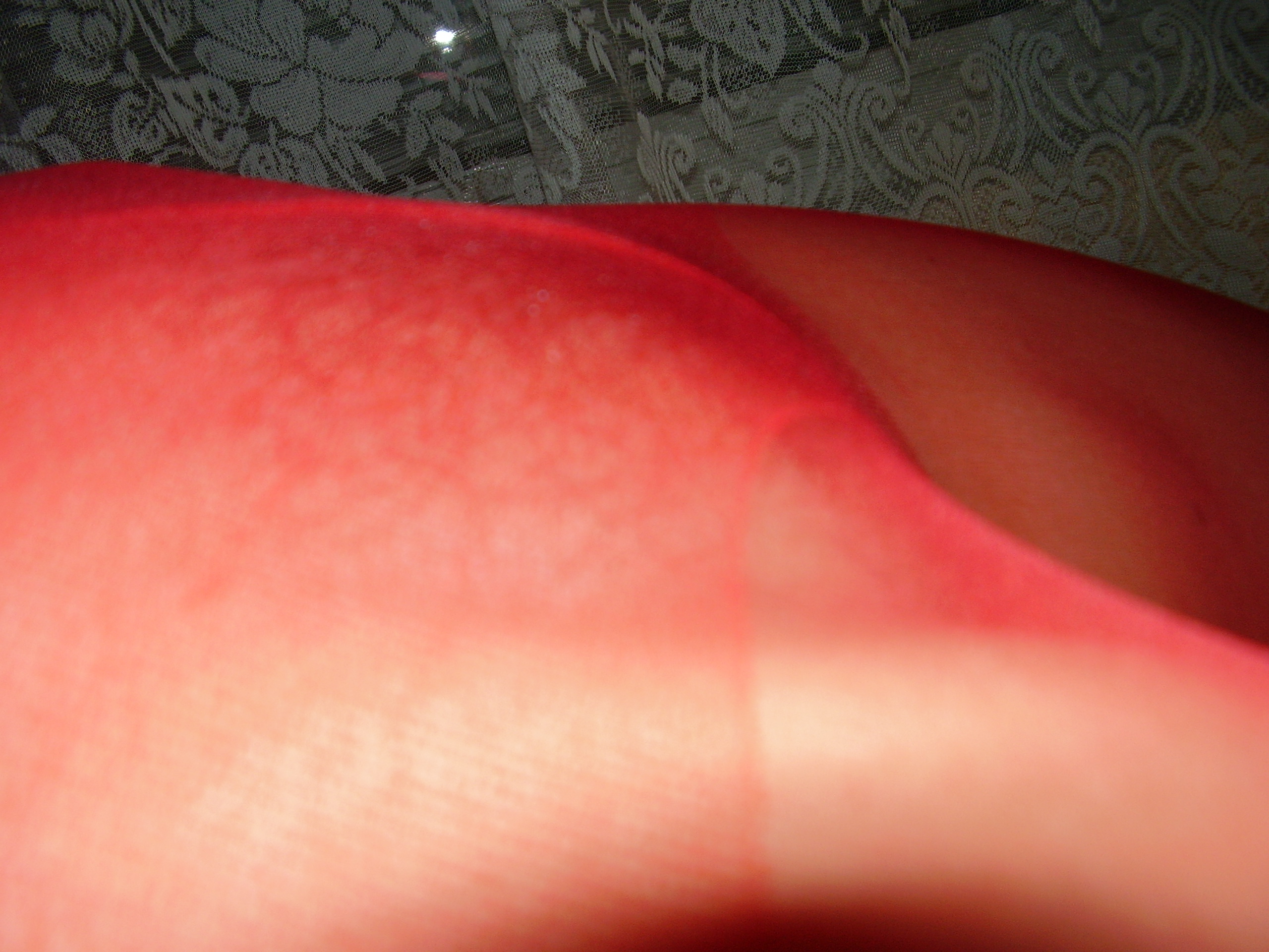 amateur photo 0001754