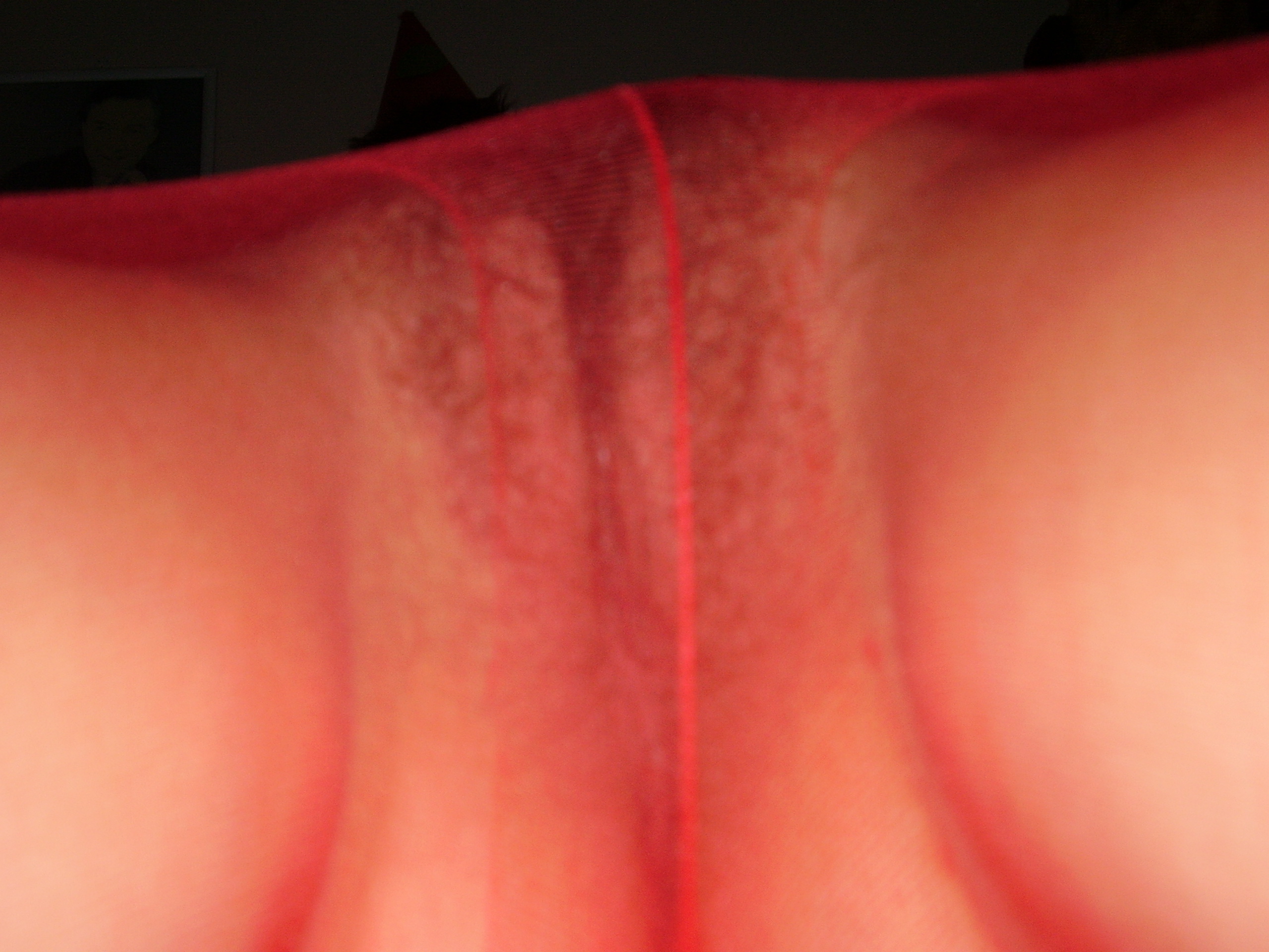 amateur photo 0001755