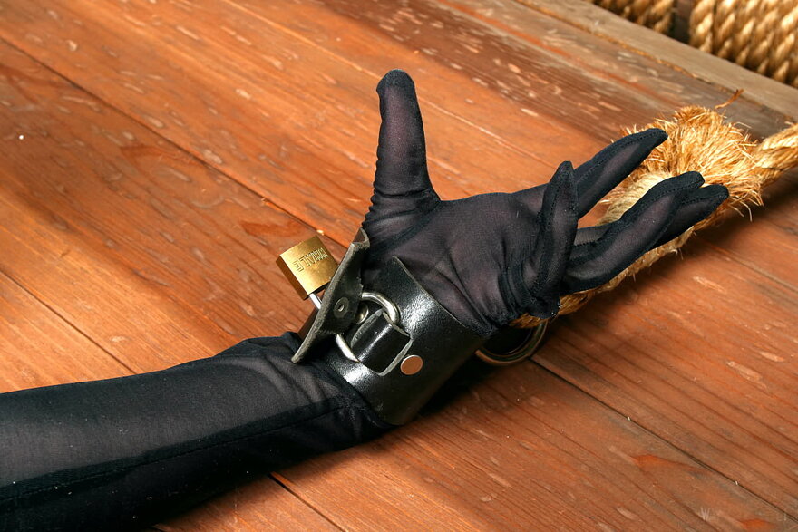 Dita Von Teese-The Rack3 (10)