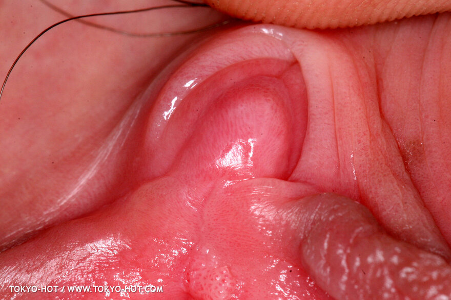 e429yayoi_kuroda0597