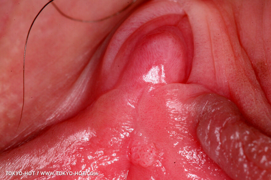 e429yayoi_kuroda0598