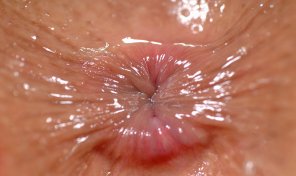 アマチュア写真 Water Close-up Skin Organ Macro photography 