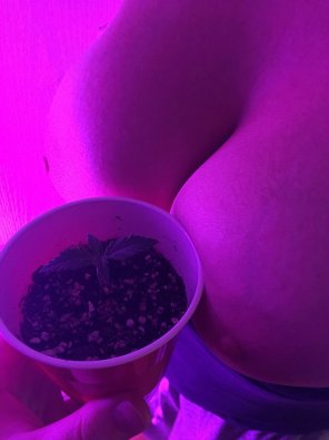 My seedling with my mil[f]