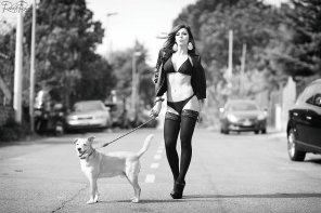 zdjęcie amatorskie White Black Photograph Dog Black-and-white Dog walking 