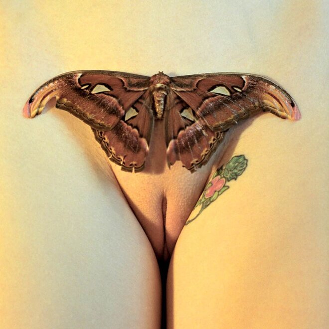 The Moth nude