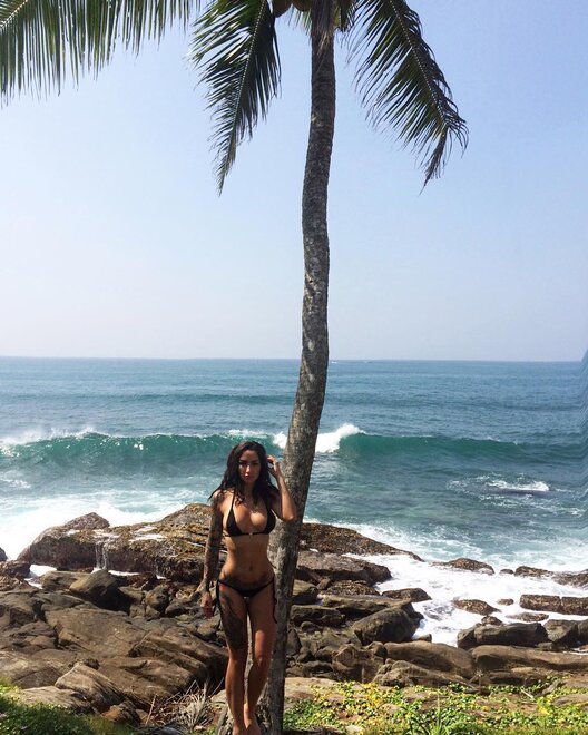 40170124543879186065896417594099617497088n