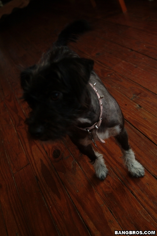 amateur photo ap2446618