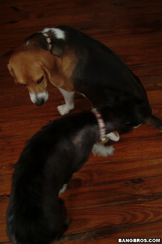 amateur photo ap2446619