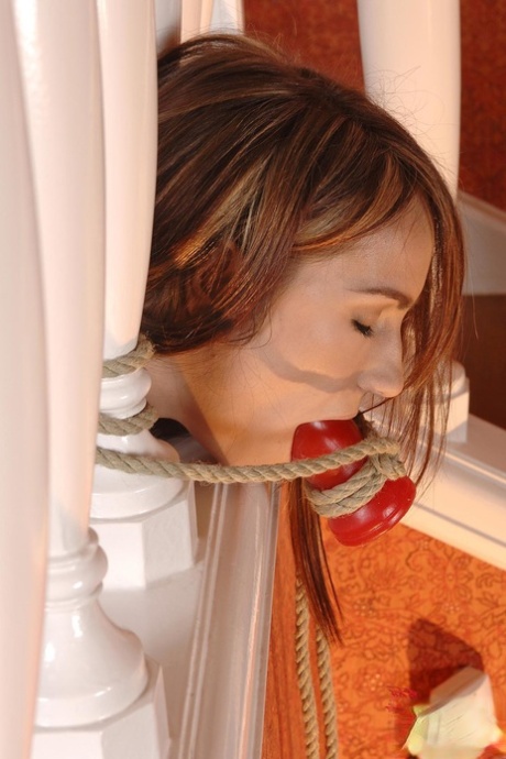 amateur photo 62792399_023_cd3a