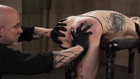 amateur photo 89390139_008_2ef7