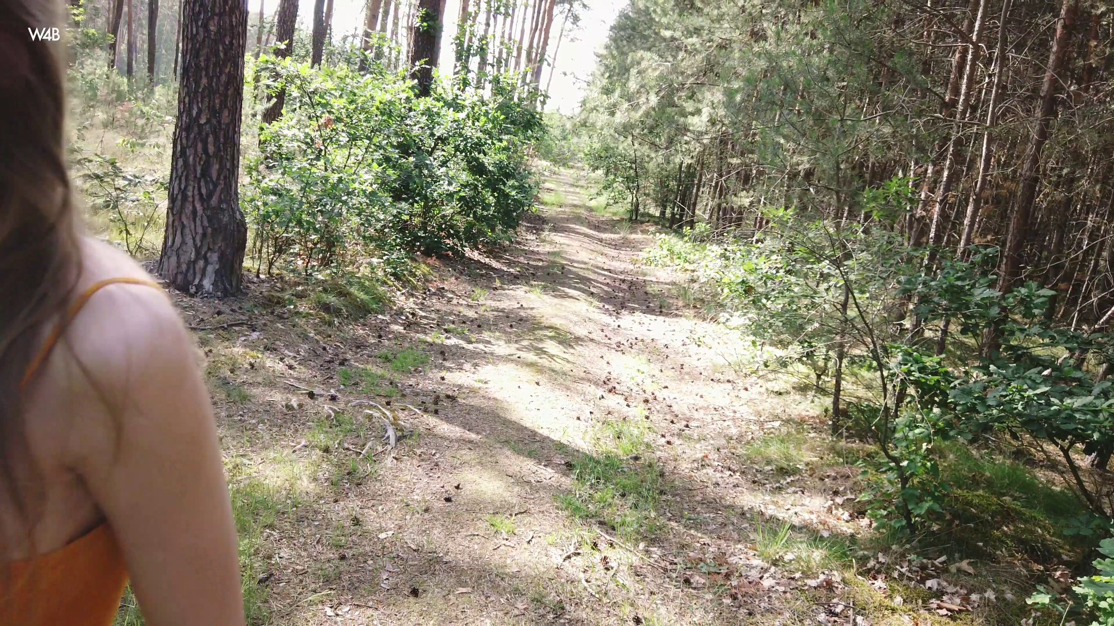 amateur photo scene07951