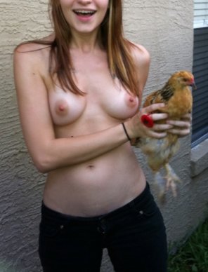 amateur-Foto Chick with a chick