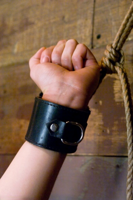 amateur photo 34192950_002_14eb