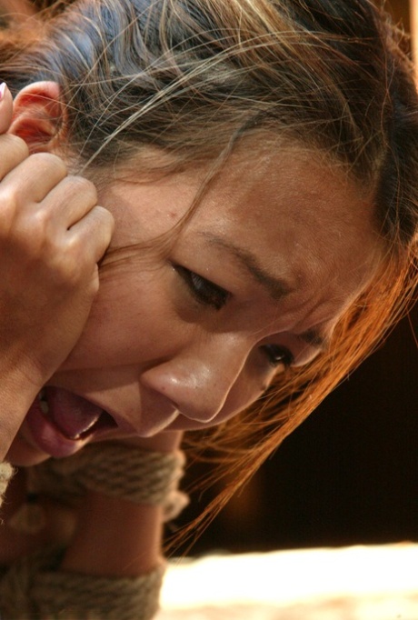 amateur photo 50172952_041_ee8c