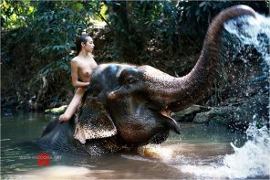 zdjęcie amatorskie Elephant Tits