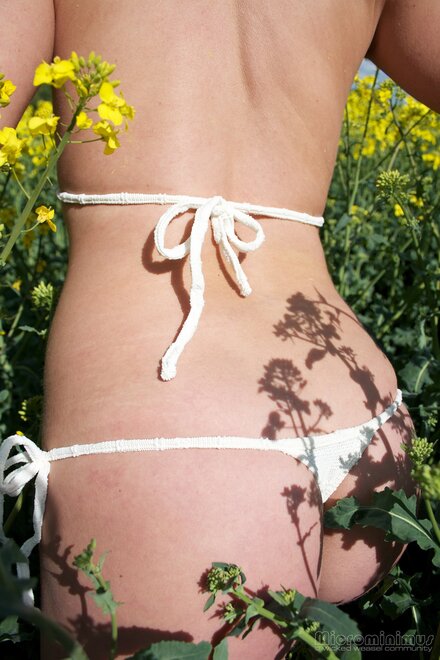 ww 013-topaz-sharpen