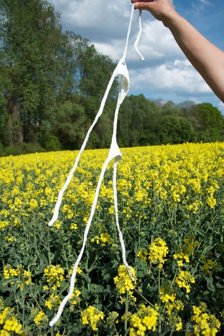 ww 015-topaz-sharpen