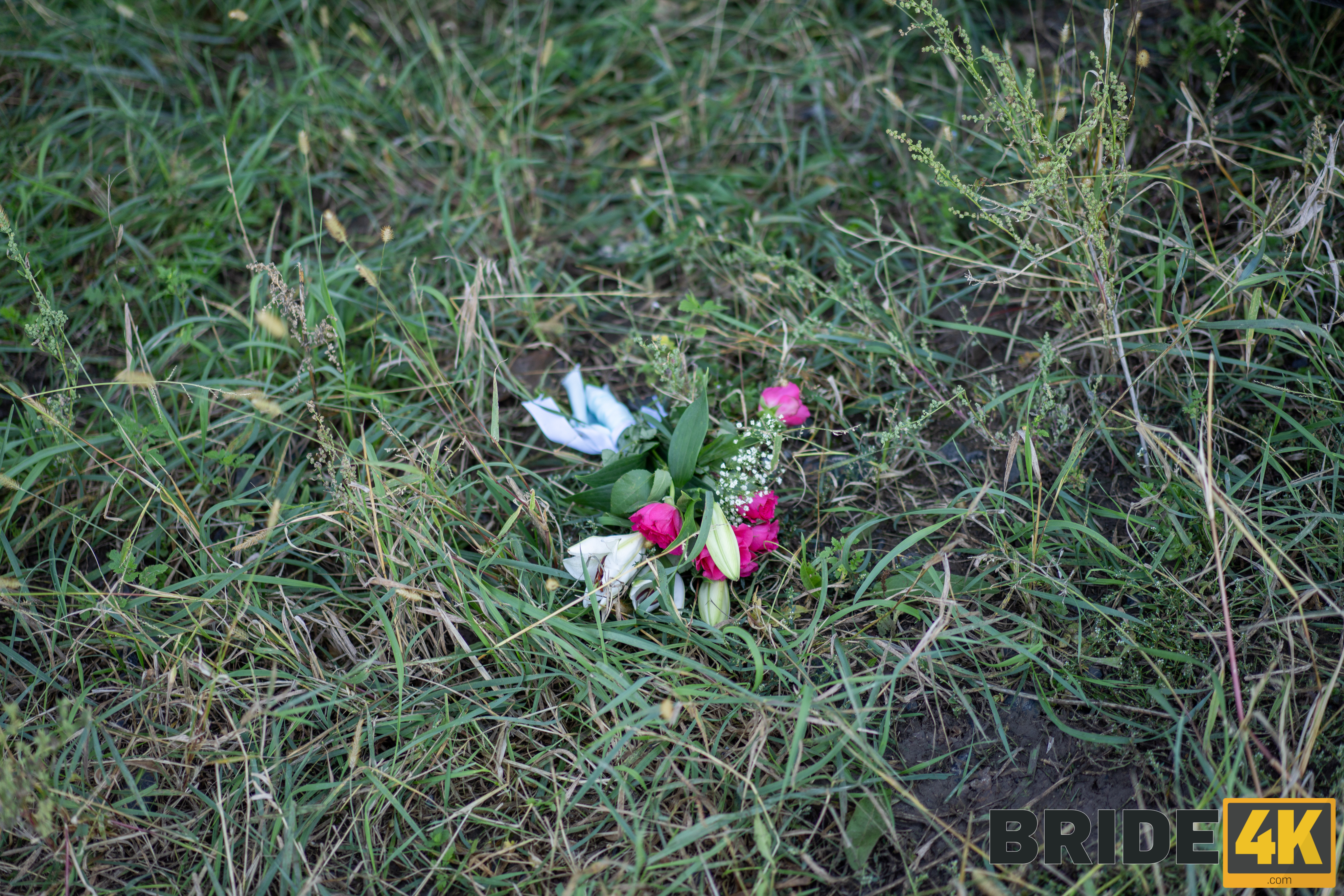 amateur photo Image_063