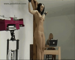amateur photo bdsmlr-14534-LDTGU1iBcz