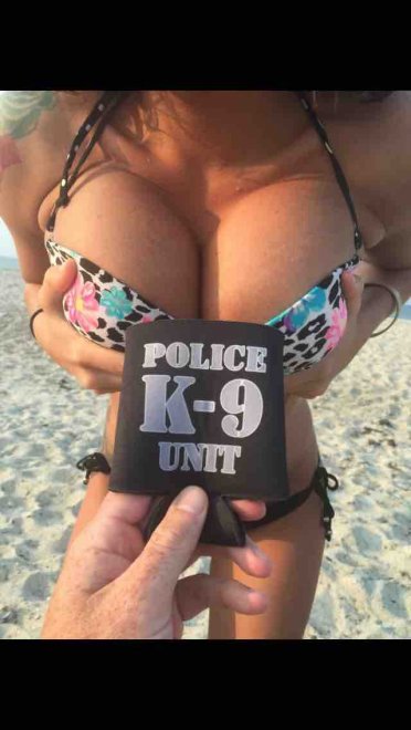 Show Some Support For The K 9 Unit Porn Pic Eporner 