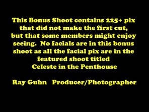 アマチュア写真 066b - Celeste Penthouse Party - Bonus Magazine