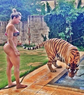 photo amateur Ass and a tiger